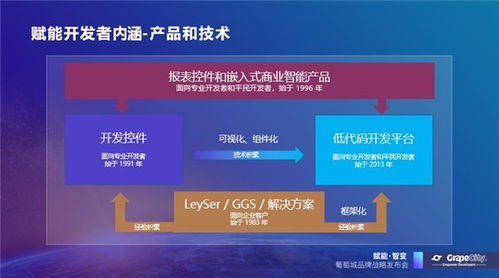 葡萄城發(fā)布軟件開發(fā)業(yè)務(wù)新使命，賦能開發(fā)者創(chuàng)新與成長(zhǎng)